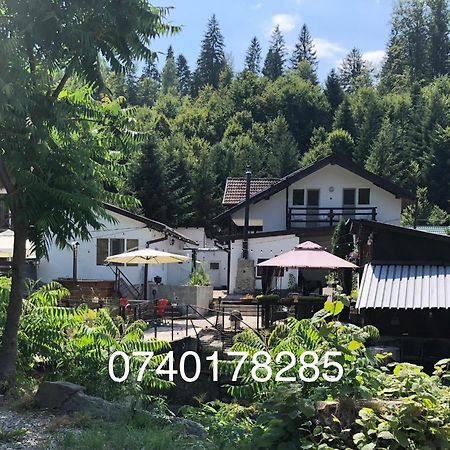 Podul De Brazi - Fir Bridge Villa Cîrţişoara Bagian luar foto