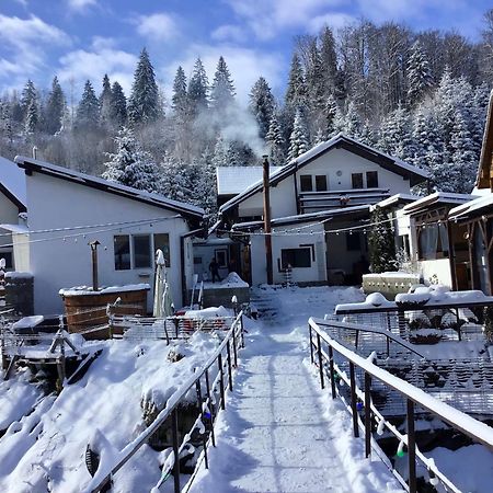 Podul De Brazi - Fir Bridge Villa Cîrţişoara Bagian luar foto