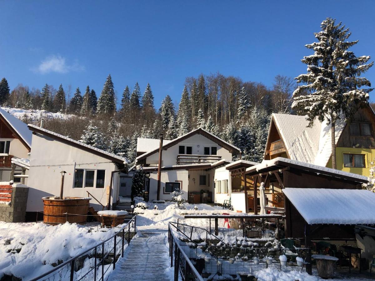 Podul De Brazi - Fir Bridge Villa Cîrţişoara Bagian luar foto
