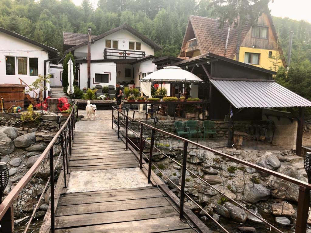 Podul De Brazi - Fir Bridge Villa Cîrţişoara Bagian luar foto