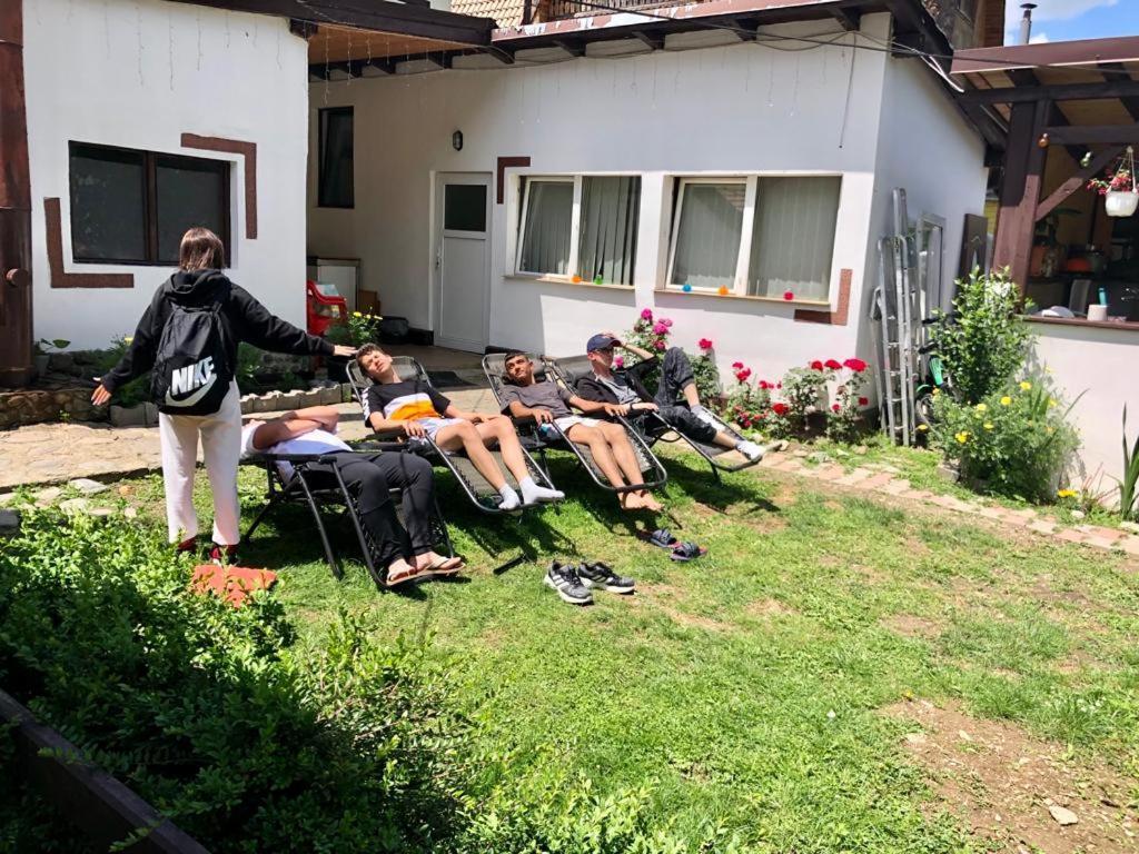 Podul De Brazi - Fir Bridge Villa Cîrţişoara Bagian luar foto