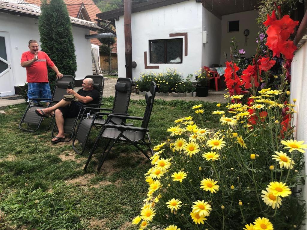 Podul De Brazi - Fir Bridge Villa Cîrţişoara Bagian luar foto