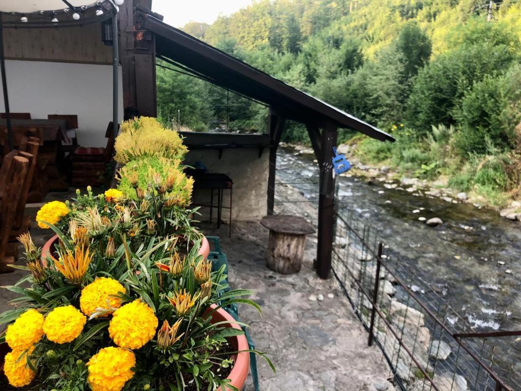 Podul De Brazi - Fir Bridge Villa Cîrţişoara Bagian luar foto