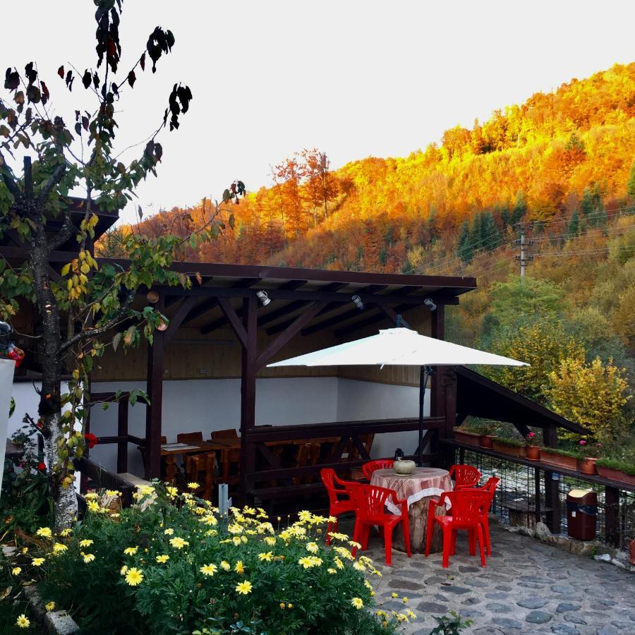 Podul De Brazi - Fir Bridge Villa Cîrţişoara Bagian luar foto