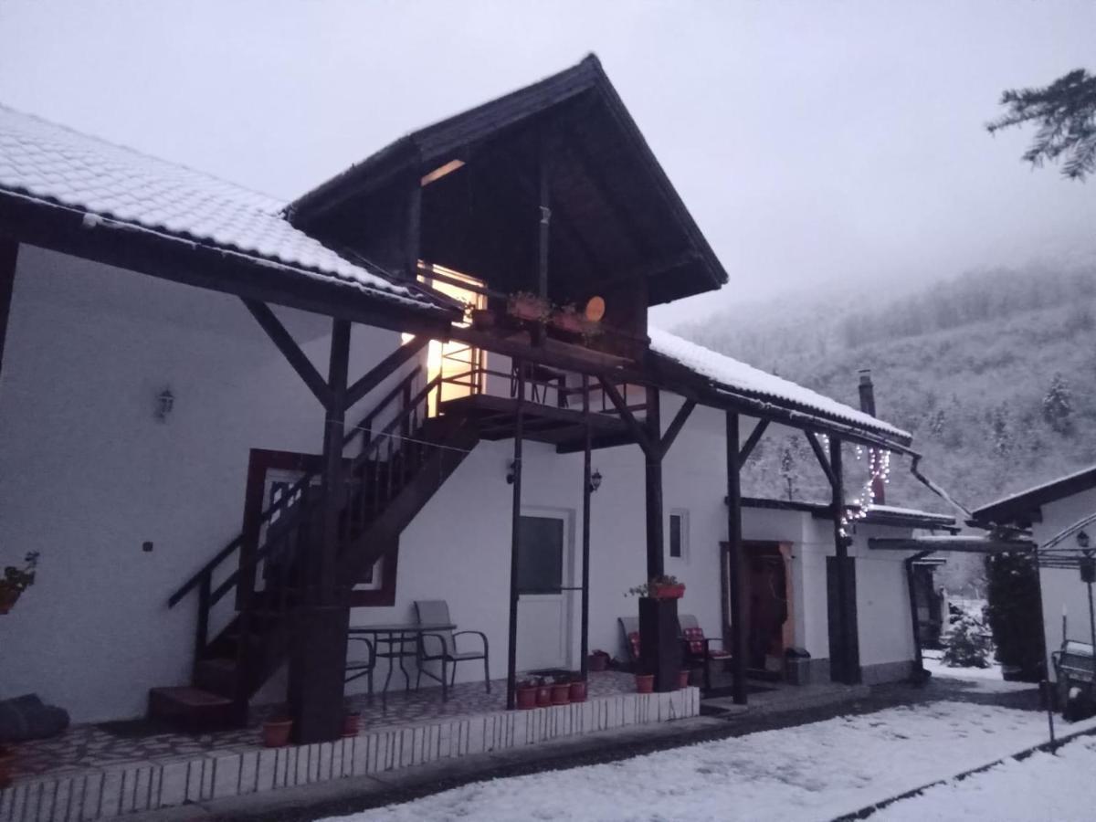 Podul De Brazi - Fir Bridge Villa Cîrţişoara Bagian luar foto