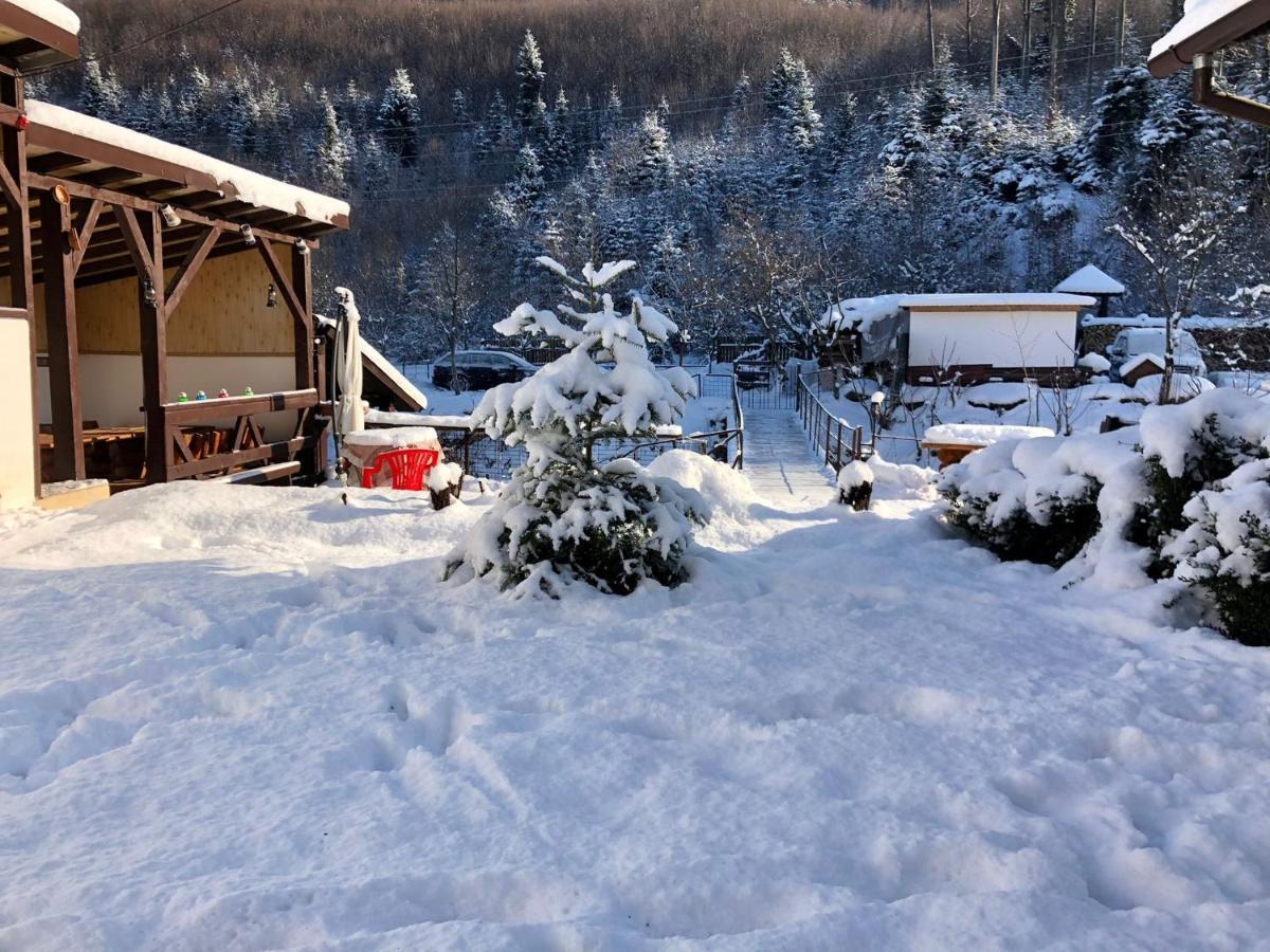 Podul De Brazi - Fir Bridge Villa Cîrţişoara Bagian luar foto