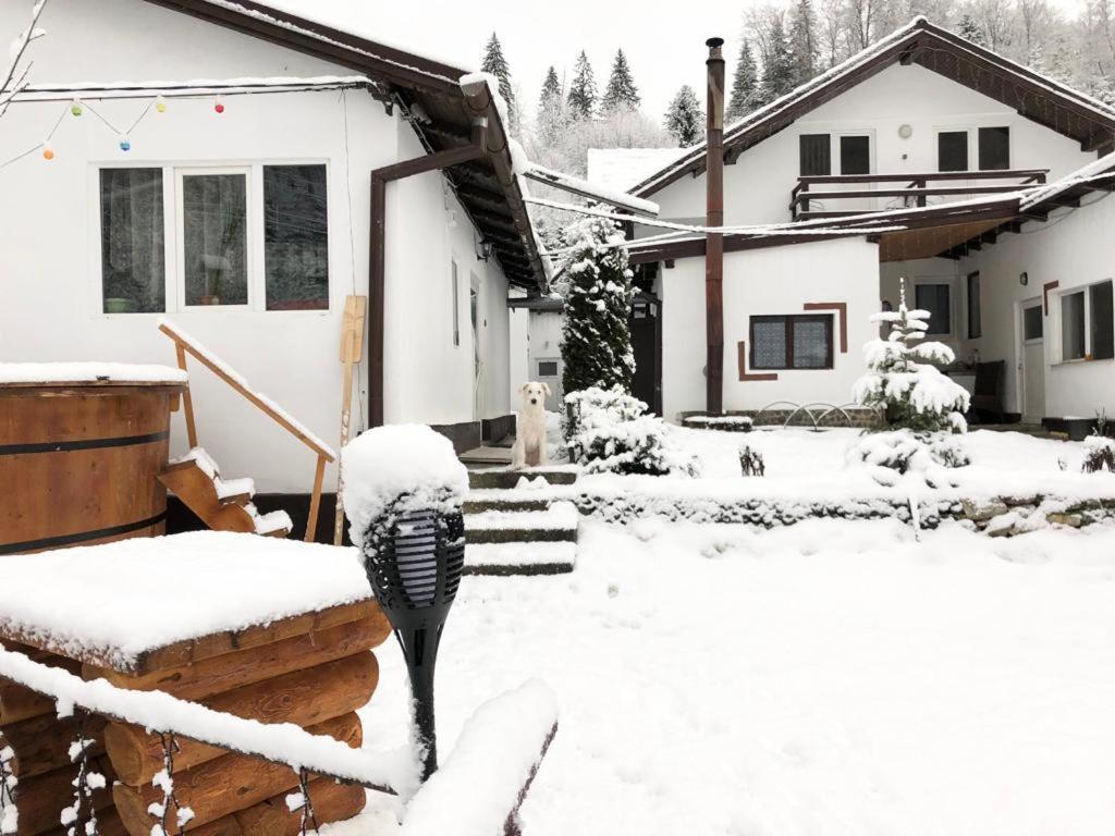 Podul De Brazi - Fir Bridge Villa Cîrţişoara Bagian luar foto