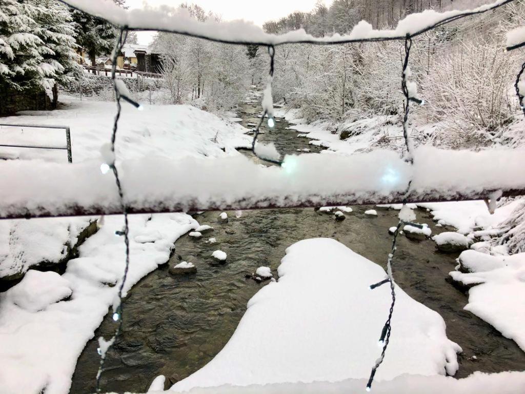 Podul De Brazi - Fir Bridge Villa Cîrţişoara Bagian luar foto