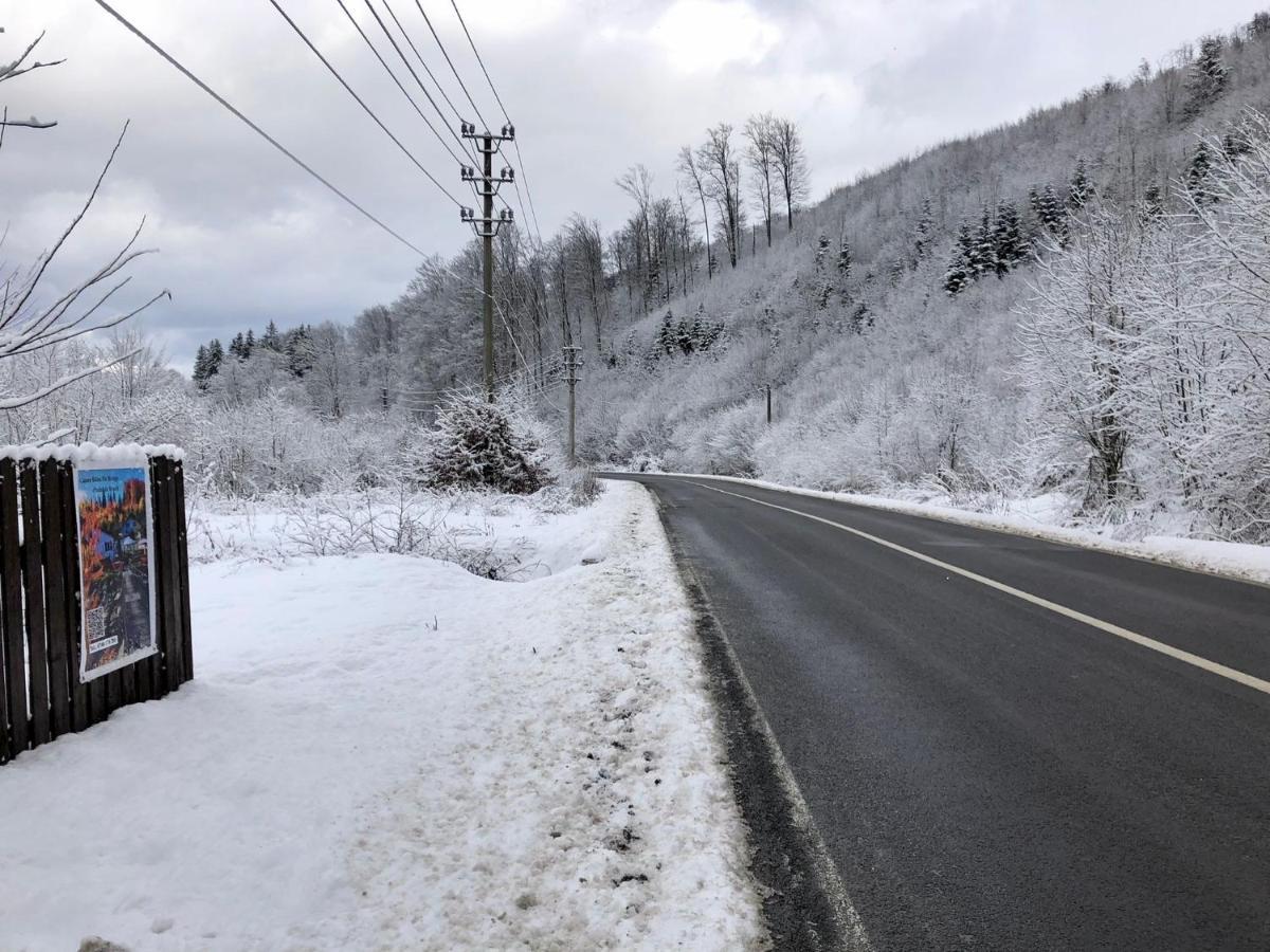 Podul De Brazi - Fir Bridge Villa Cîrţişoara Bagian luar foto