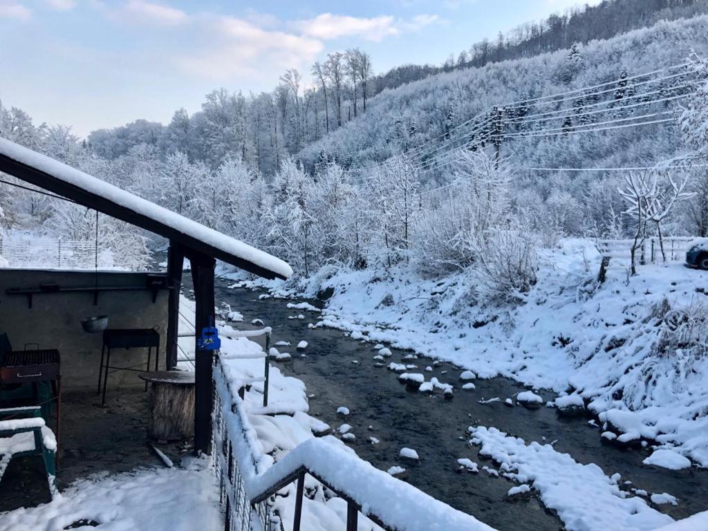 Podul De Brazi - Fir Bridge Villa Cîrţişoara Bagian luar foto