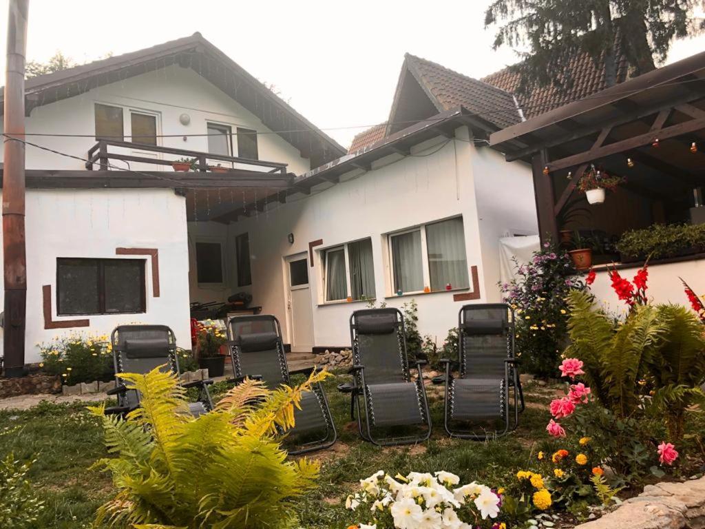 Podul De Brazi - Fir Bridge Villa Cîrţişoara Bagian luar foto