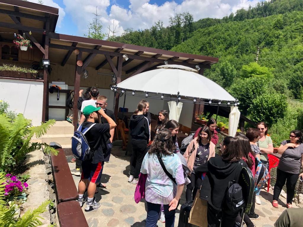 Podul De Brazi - Fir Bridge Villa Cîrţişoara Bagian luar foto