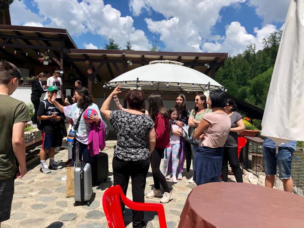 Podul De Brazi - Fir Bridge Villa Cîrţişoara Bagian luar foto