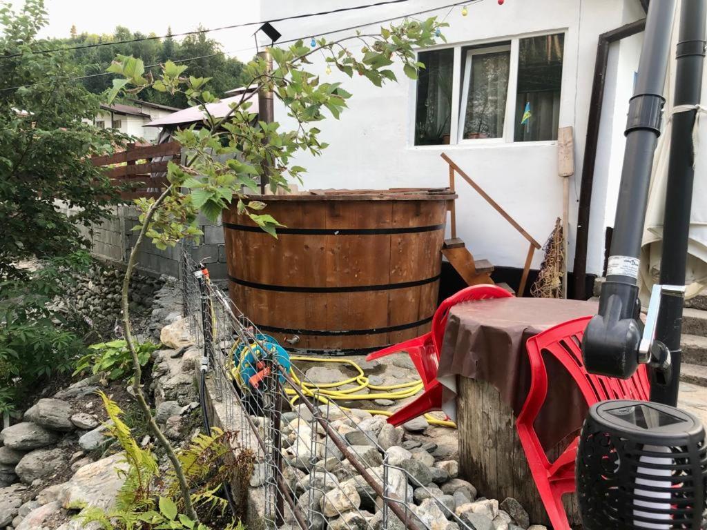 Podul De Brazi - Fir Bridge Villa Cîrţişoara Bagian luar foto
