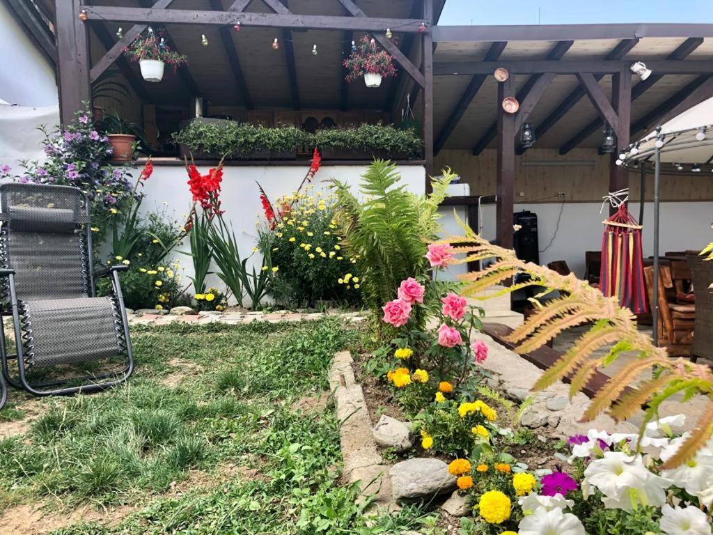 Podul De Brazi - Fir Bridge Villa Cîrţişoara Bagian luar foto