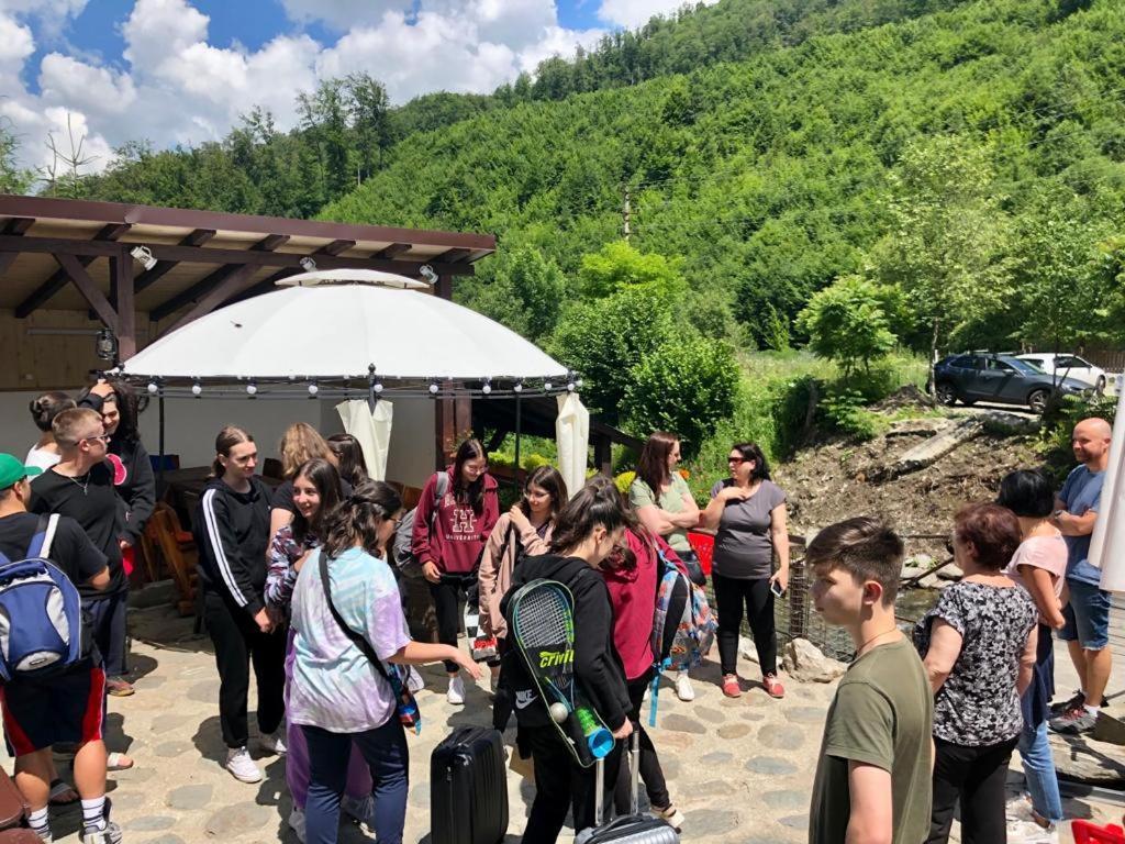 Podul De Brazi - Fir Bridge Villa Cîrţişoara Bagian luar foto
