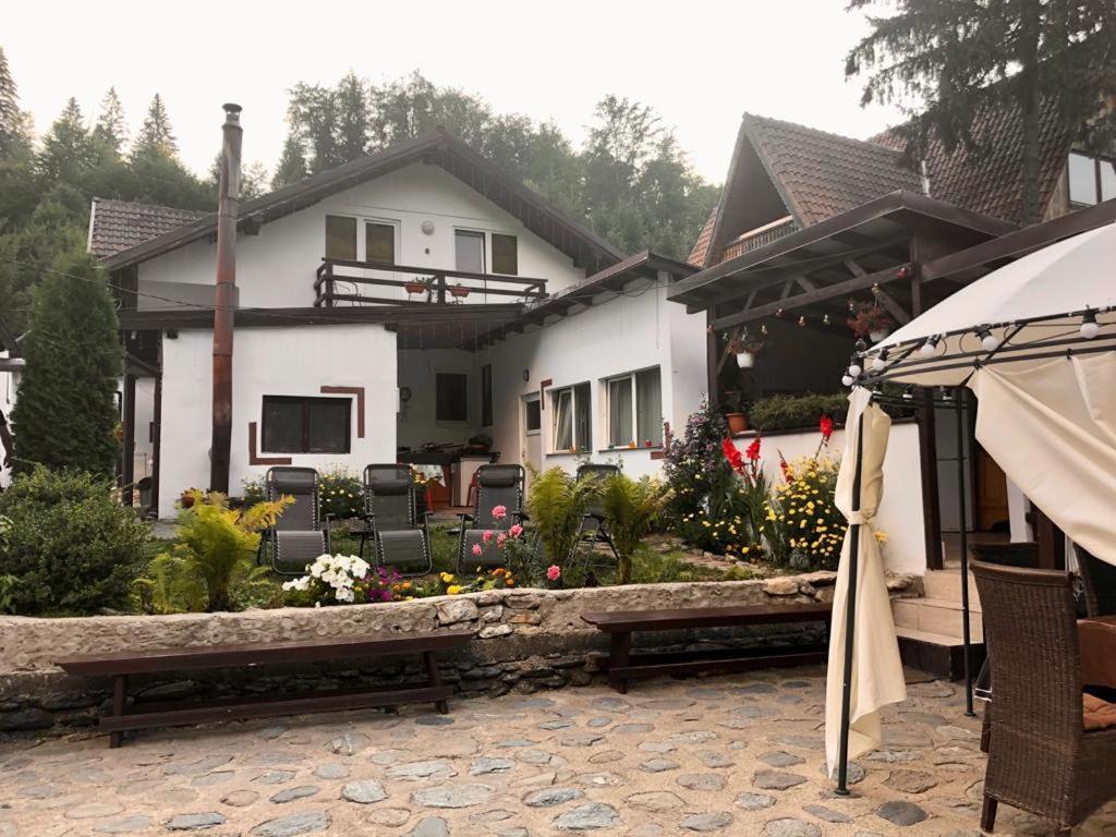 Podul De Brazi - Fir Bridge Villa Cîrţişoara Bagian luar foto