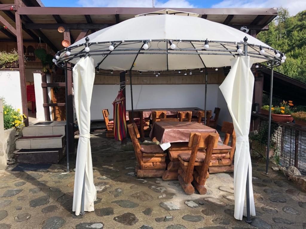 Podul De Brazi - Fir Bridge Villa Cîrţişoara Bagian luar foto