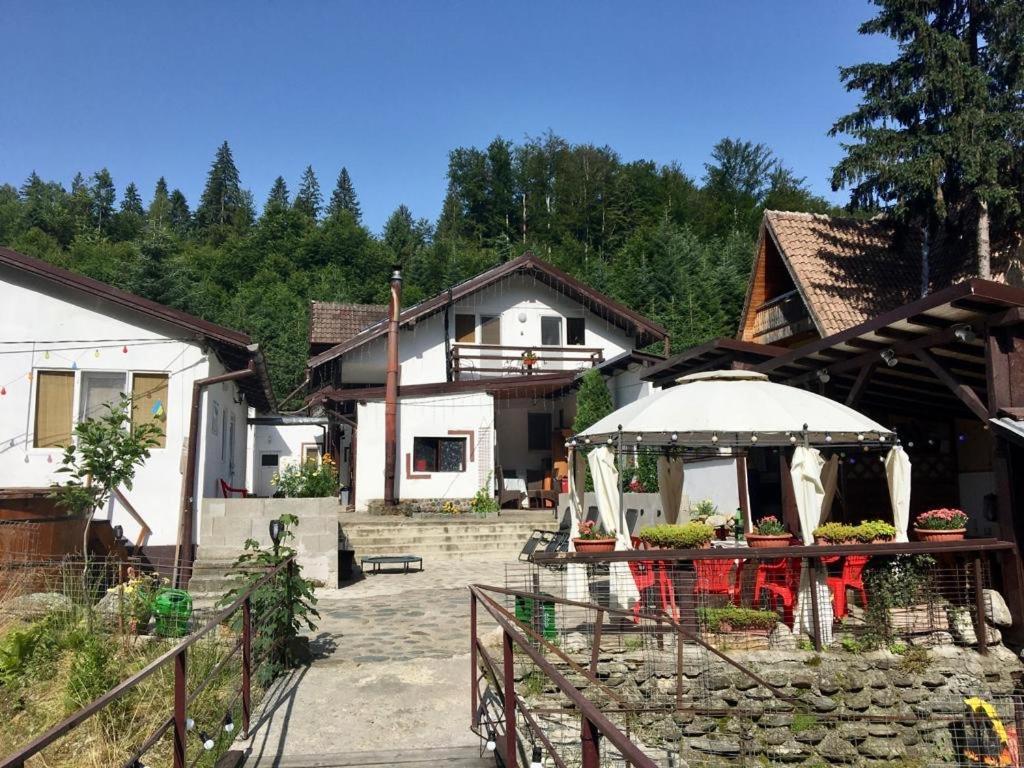 Podul De Brazi - Fir Bridge Villa Cîrţişoara Bagian luar foto