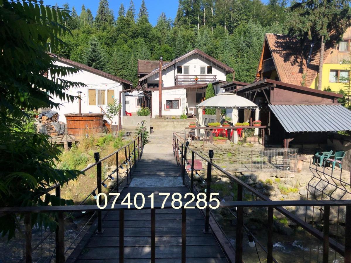 Podul De Brazi - Fir Bridge Villa Cîrţişoara Bagian luar foto