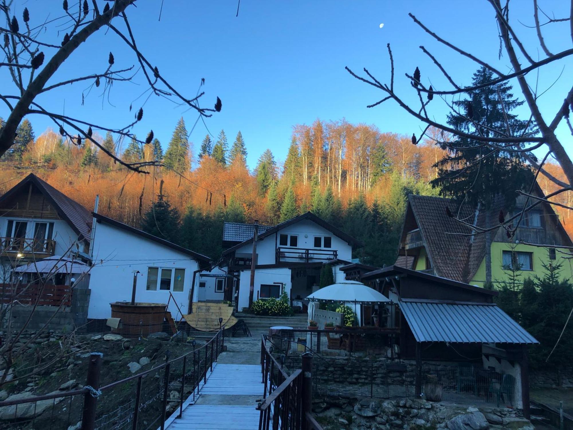 Podul De Brazi - Fir Bridge Villa Cîrţişoara Bagian luar foto