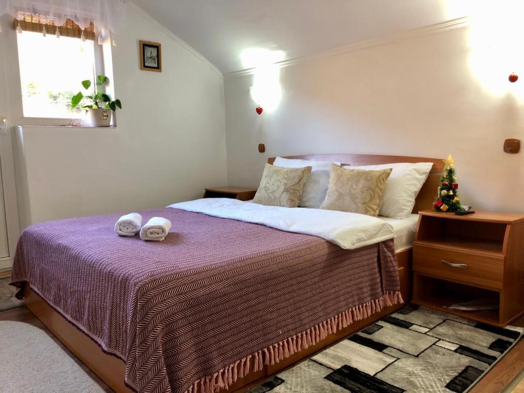 Podul De Brazi - Fir Bridge Villa Cîrţişoara Ruang foto