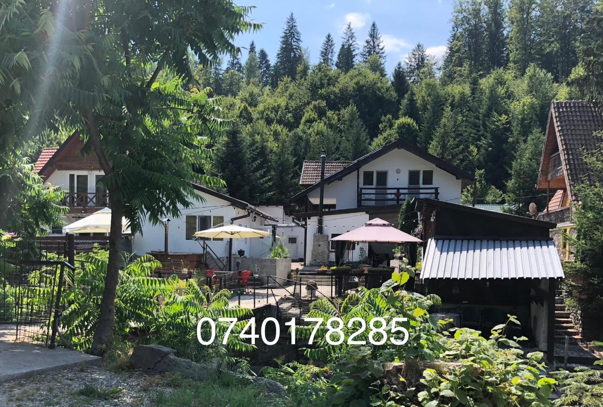 Podul De Brazi - Fir Bridge Villa Cîrţişoara Bagian luar foto