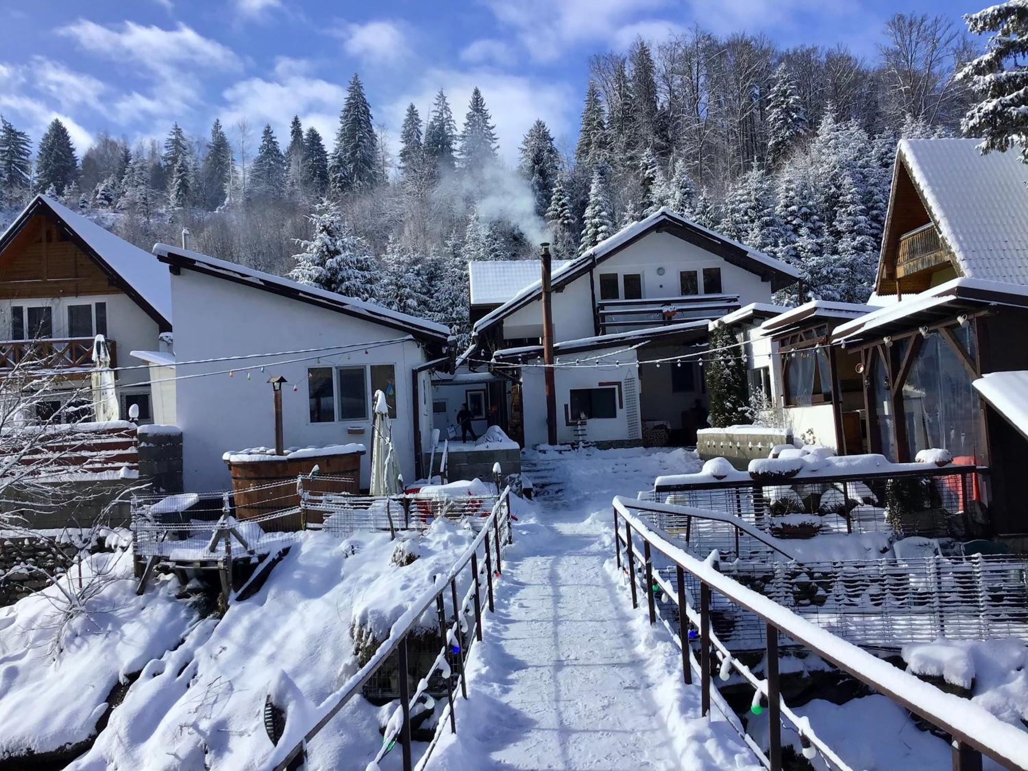 Podul De Brazi - Fir Bridge Villa Cîrţişoara Bagian luar foto